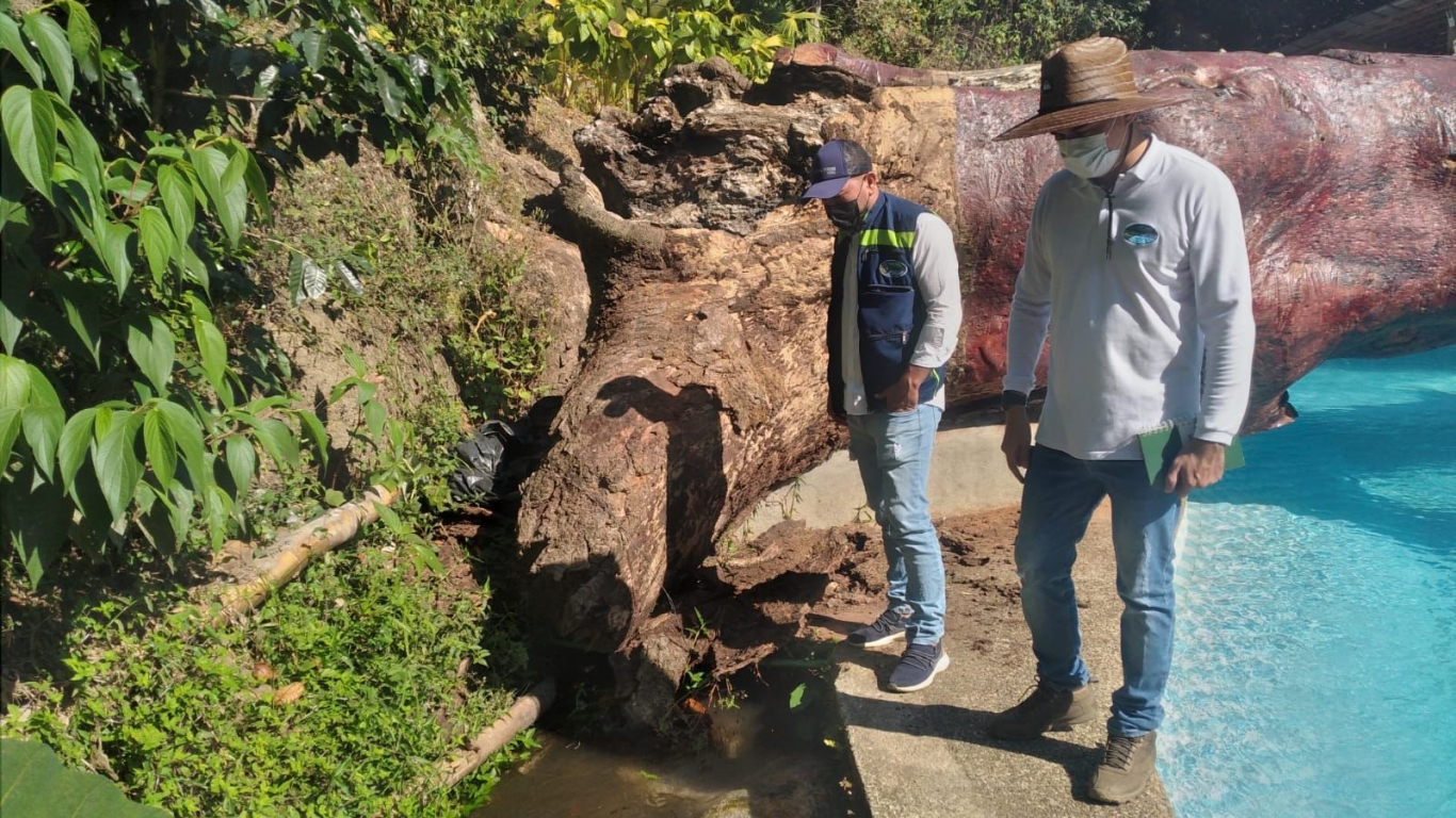 En esta temporada de menos lluvias, CORPAMAG, ESSMAR y Policía Ambiental realizan operativos de control de captación de agua en Tigrera